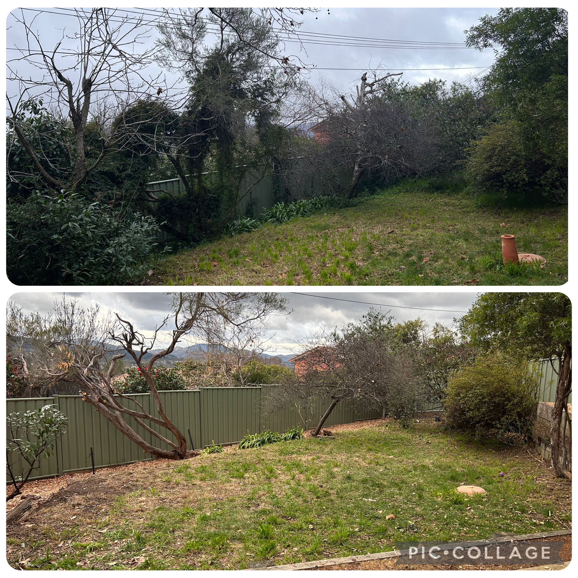 Canberra garden before and after a tidy-up
