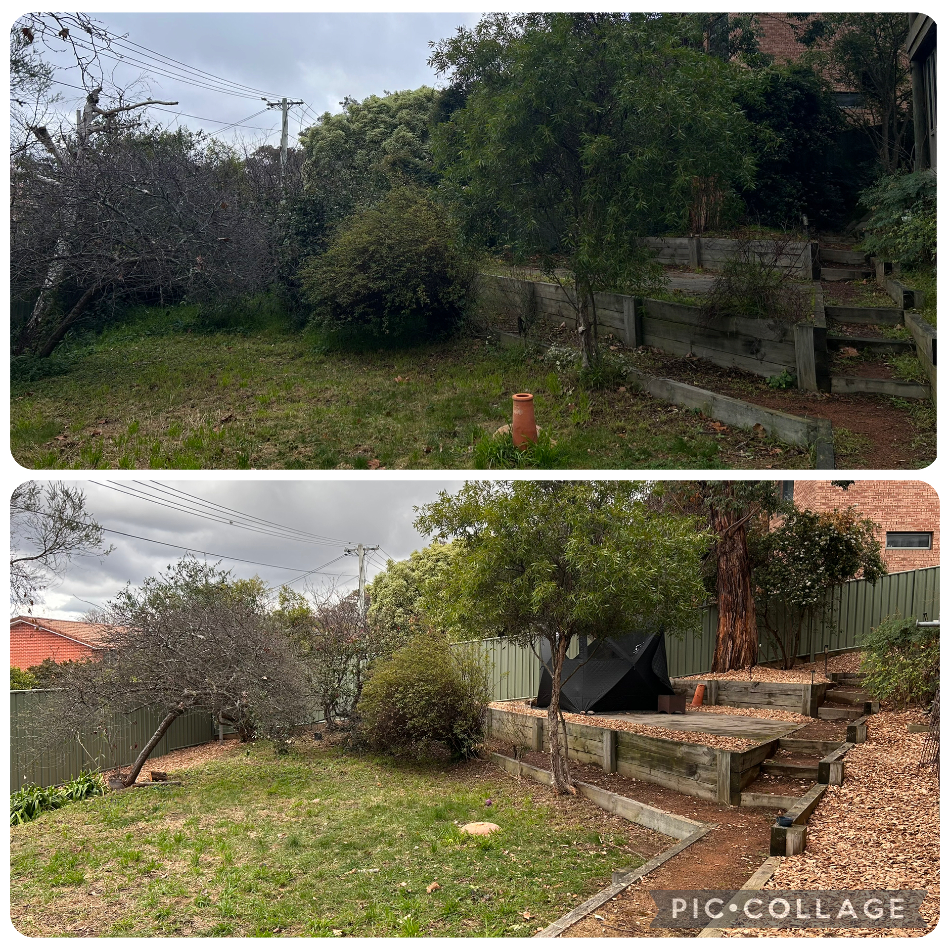 Canberra backyard before and after cleanup